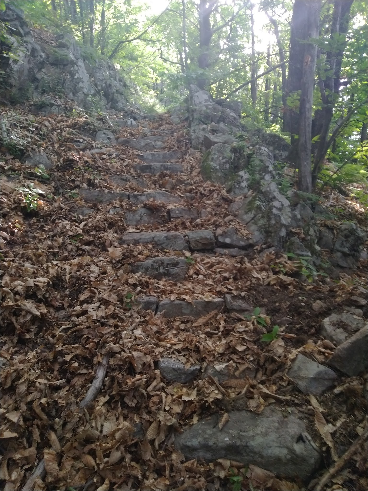 Photo n° 2 de l'avis de Webzine.o fait le 02/09/2021 à 14:23