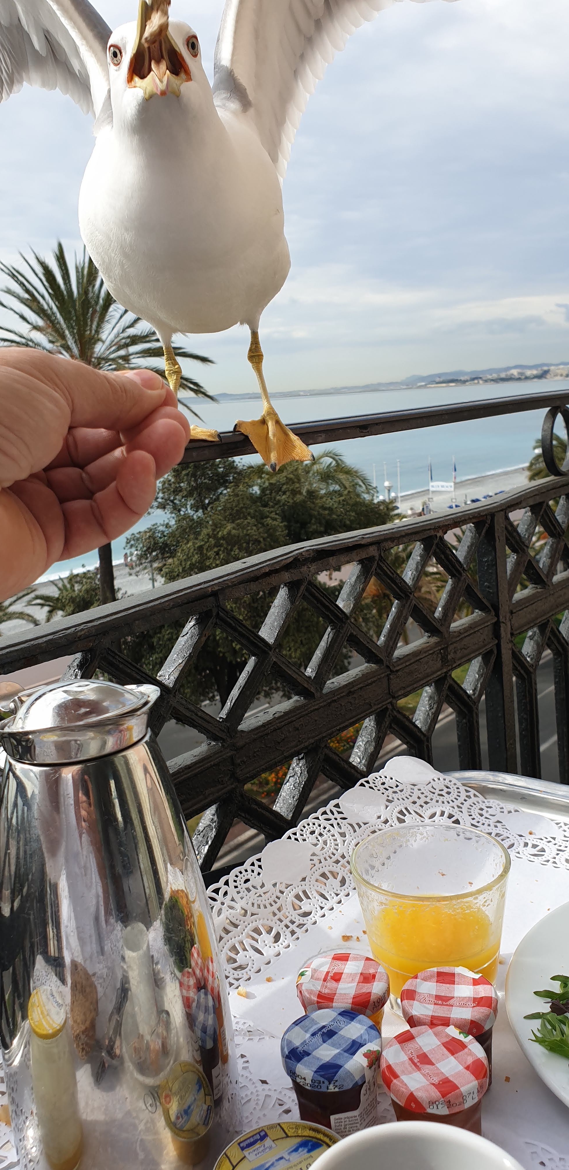 Photo n° 21 de l'avis de Didier.h fait le 16/04/2019 à 13:20