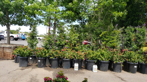 Plant nursery Scottsdale