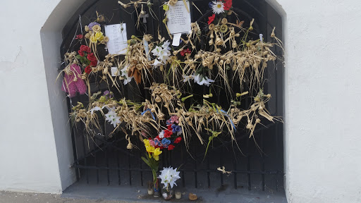 Aquarium «South Carolina Aquarium», reviews and photos, 100 Aquarium Wharf, Charleston, SC 29401, USA