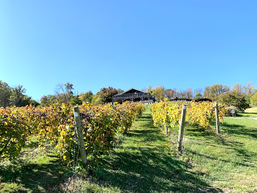 Winery «Bluemont Vineyard», reviews and photos, 18755 Foggy Bottom Rd, Bluemont, VA 20135, USA