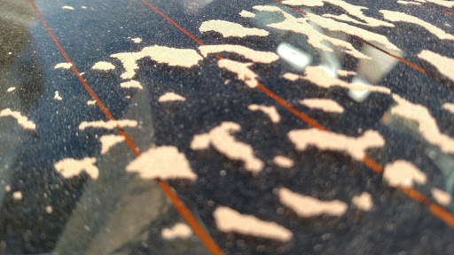 Live Music Venue «The Falcon», reviews and photos, 1348 US-9W, Marlboro, NY 12542, USA