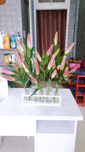 Top 1 cửa hàng bookmark Huyện Đam Rông Lâm Đồng 2022