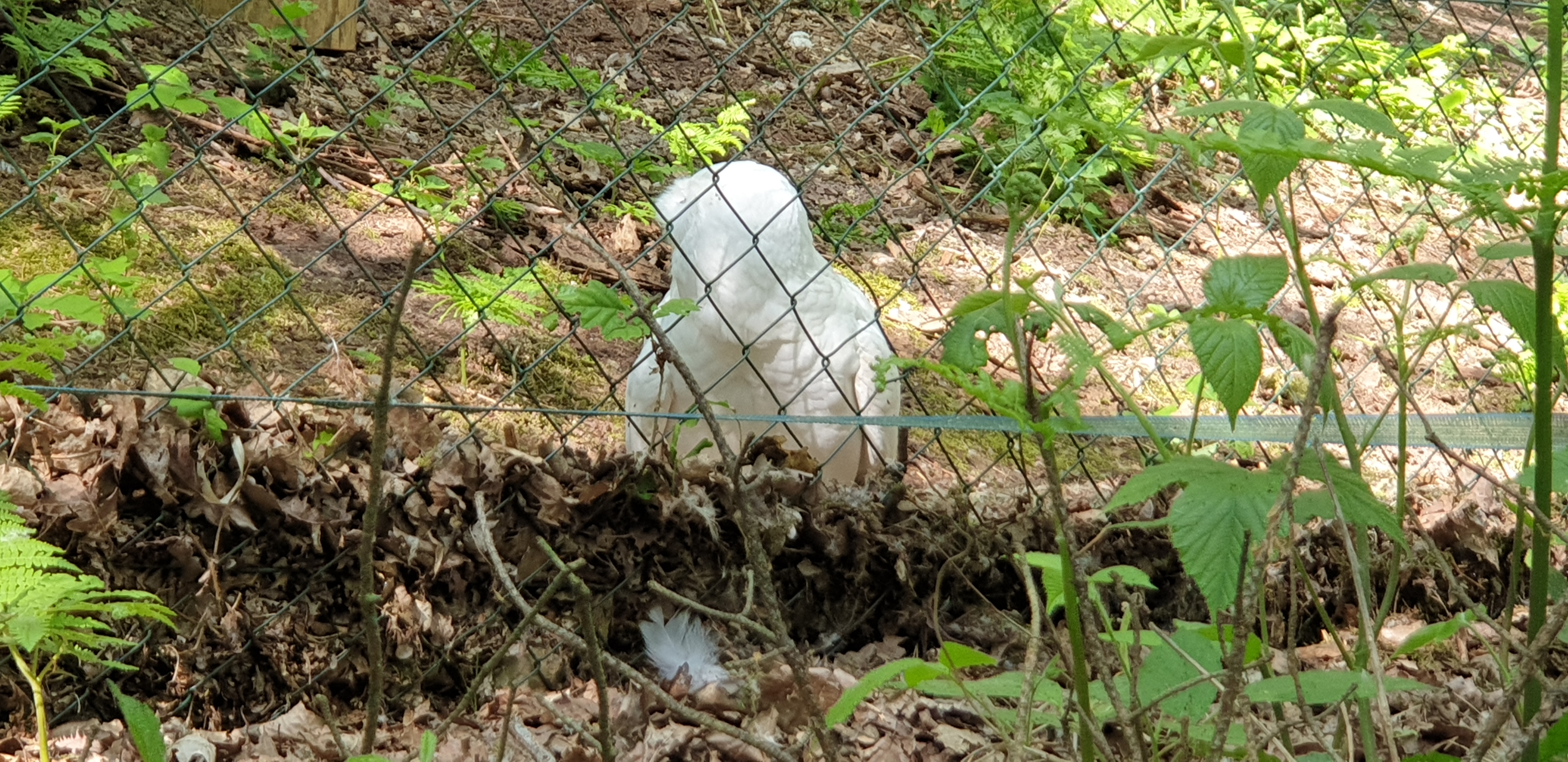 Photo n° 1 de l'avis de Dominique.A fait le 05/05/2022 à 18:02