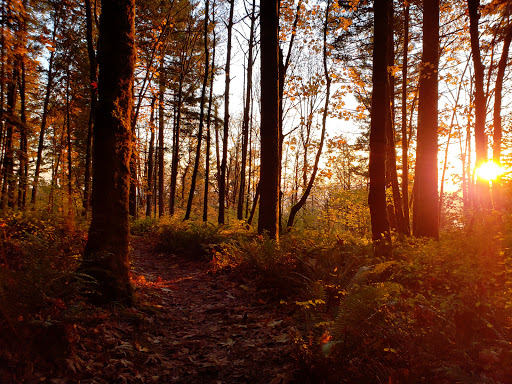 Park «Mount Talbert Nature Park», reviews and photos, 10945 SE Mather Rd, Clackamas, OR 97015, USA