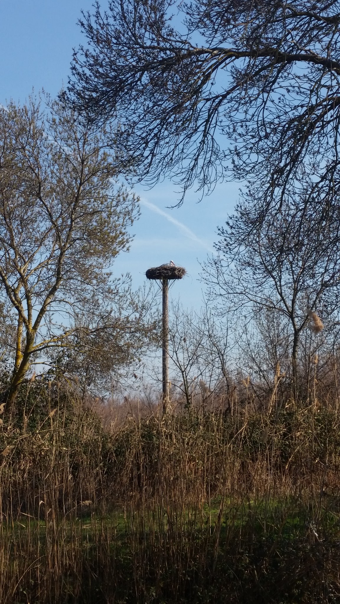 Photo n° 6 de l'avis de J..a fait le 28/02/2019 à 22:24
