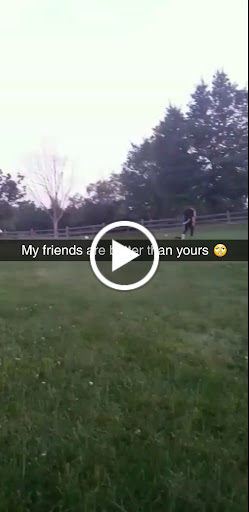 Nature Preserve «Larsen Nature Preserve», reviews and photos, 1720 Western Ave, Waukegan, IL 60085, USA