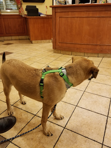 Pet Supply Store «PetSmart», reviews and photos, 11501 Metcalf Ave, Overland Park, KS 66210, USA