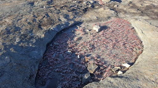 Nature Preserve «Davidson-Arabia Nature Preserve», reviews and photos, 3787 Klondike Rd, Lithonia, GA 30038, USA