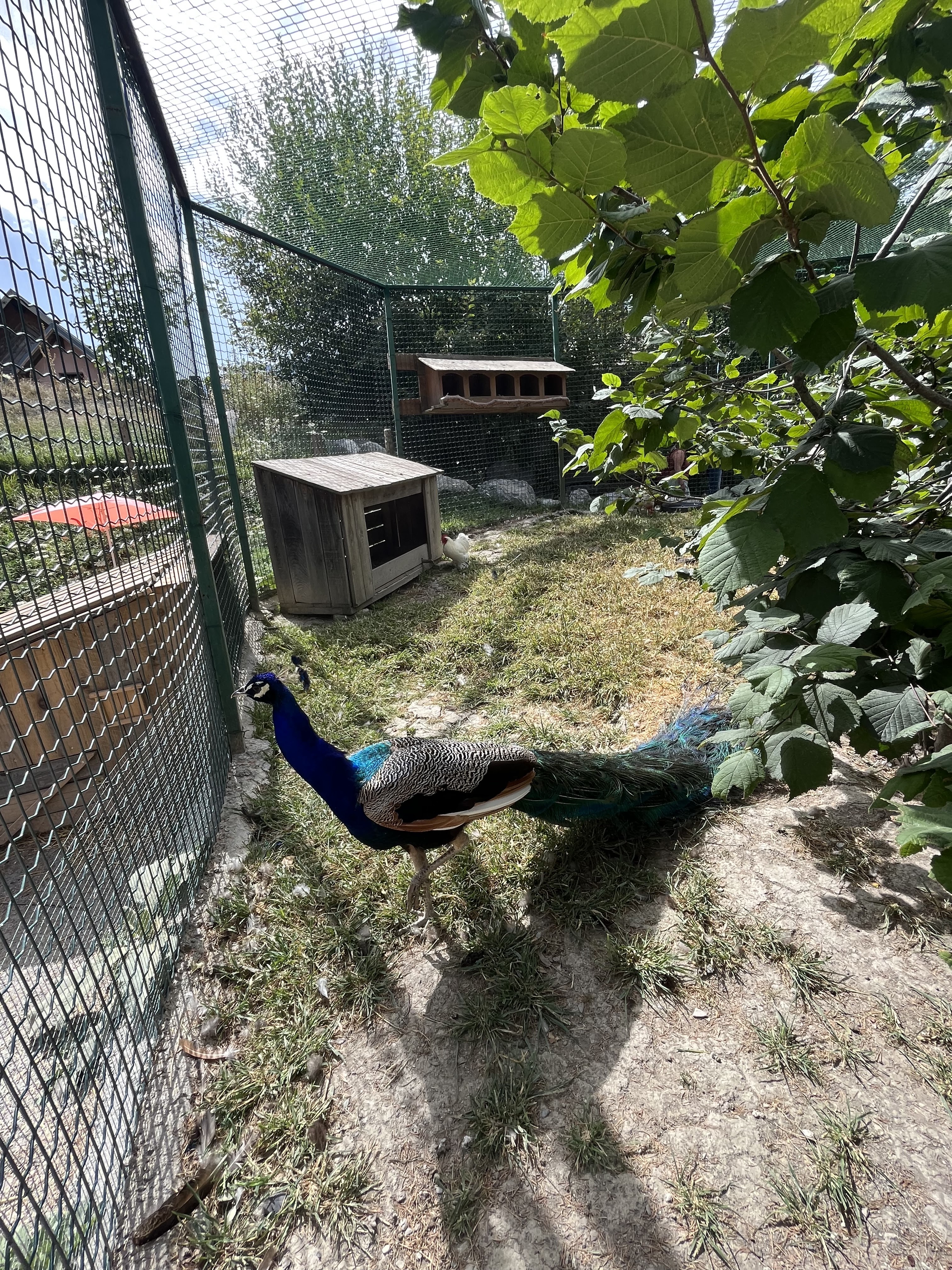 Photo n° 15 de l'avis de Lucille.p fait le 10/08/2023 à 21:42