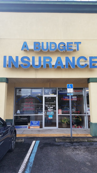 A Budget Insurance