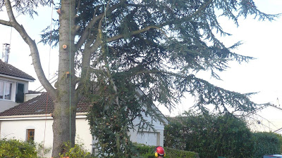 D'une branche à l'autre à Longny les Villages