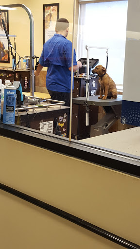 Pet Supply Store «PetSmart», reviews and photos, 1700 Fruitville Pike, Lancaster, PA 17601, USA