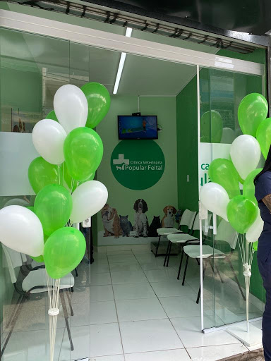 Clínica Veterinária Popular Feital em Mauá - SP