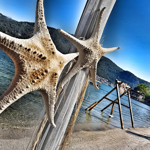 Lebi Derya Aksazlar Kamp