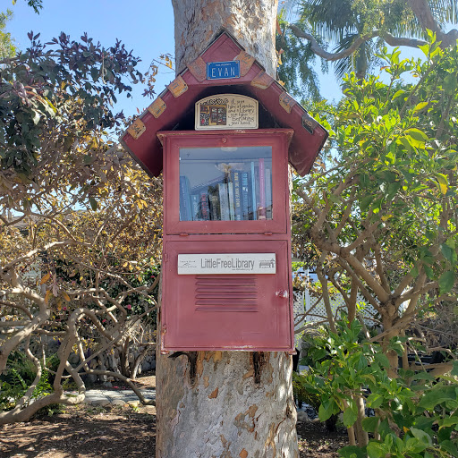 Little free library