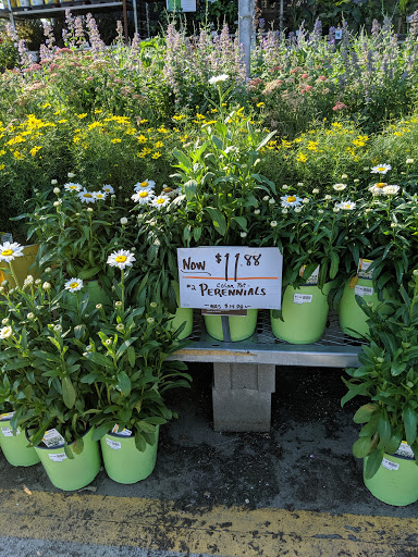 Home Improvement Store «The Home Depot», reviews and photos, 899 County St, Taunton, MA 02780, USA