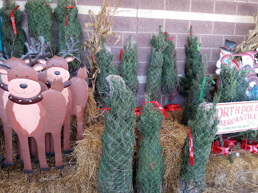 Supermarket «Giant Eagle Supermarket», reviews and photos, 36475 Euclid Ave, Willoughby, OH 44094, USA