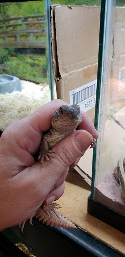 Pet Supply Store «Pet Den», reviews and photos, 1209 Nederland Ave, Nederland, TX 77627, USA