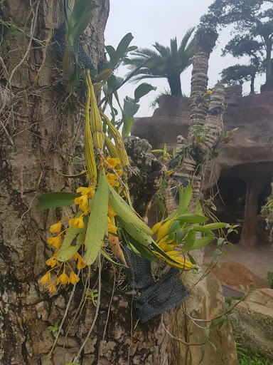 Top 20 cửa hàng bandolini Huyện Kiến Thụy Hải Phòng 2022