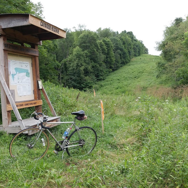 Caywood Nature Reserve