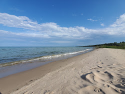 Zdjęcie Negwegon State Park Beach z powierzchnią turkusowa czysta woda