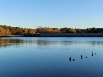dent removal raleigh