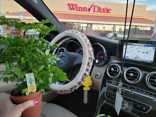 Grocery Store «Winn-Dixie», reviews and photos, 5802 54th Ave N, Kenneth City, FL 33709, USA