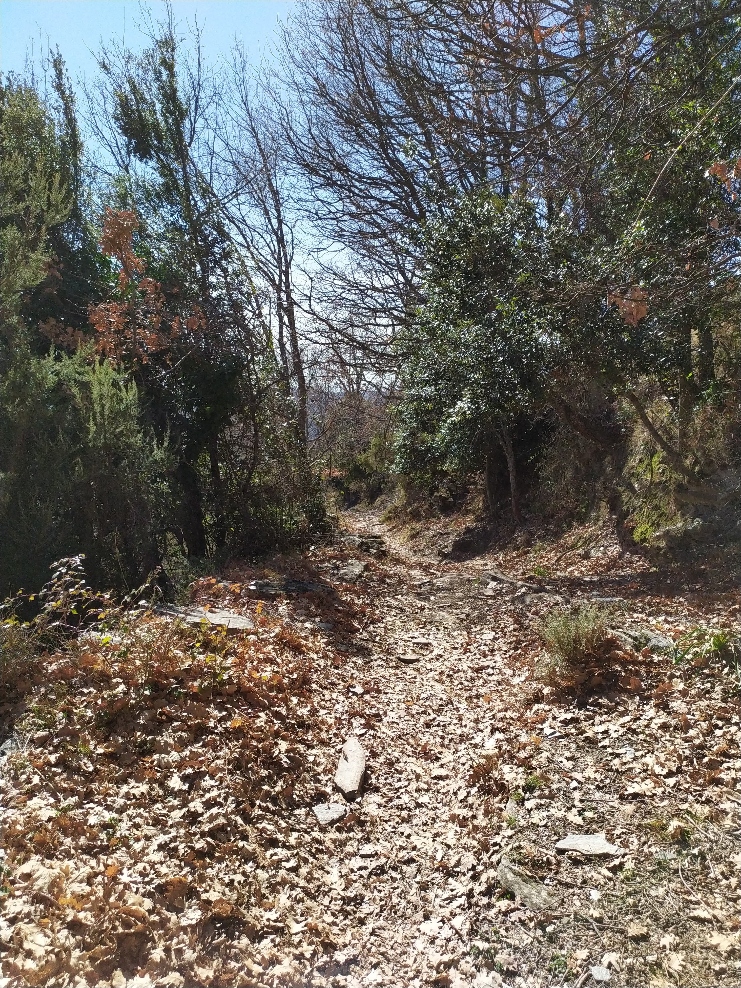 Photo n° 13 de l'avis de Francis.i fait le 15/04/2021 à 19:01