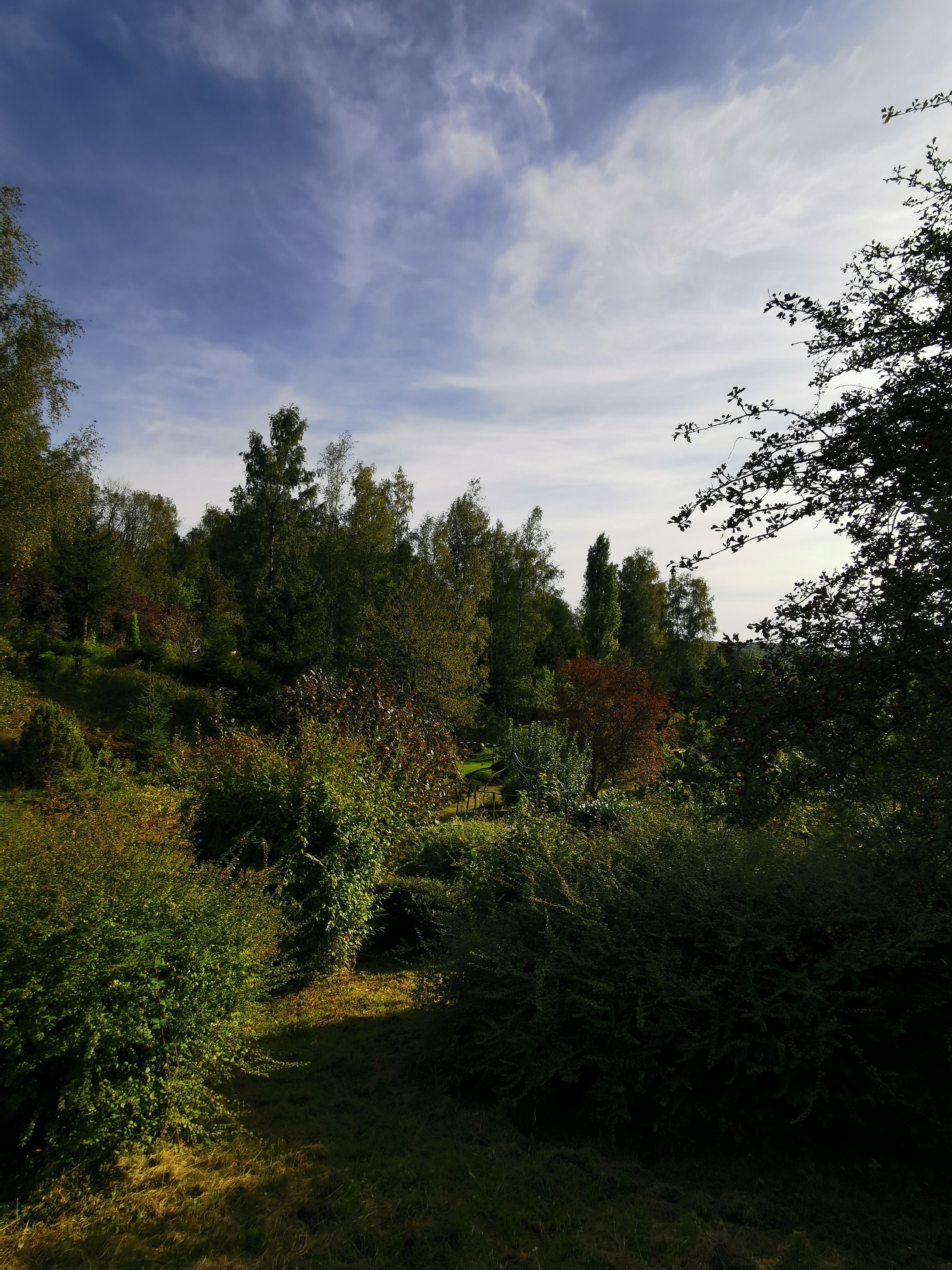Photo n° 26 de l'avis de Phidis.a fait le 03/07/2019 à 17:43