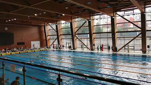 Dinamo swimming pool - Tolea Grințescu