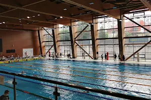 Dinamo swimming pool - Tolea Grințescu image