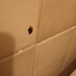 Photo n°1 de l'avis de S... fait le 17/04/2024 à 20:47 sur le  Hotel am Sendlinger Tor à Munich