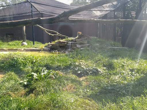 Zoo «Niabi Zoo», reviews and photos, 13010 Niabi Zoo Rd, Coal Valley, IL 61240, USA