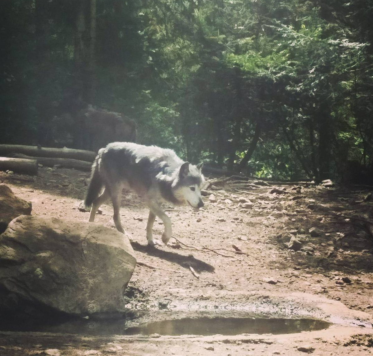 Photo n° 1 de l'avis de Alexia.o fait le 26/07/2017 à 09:04