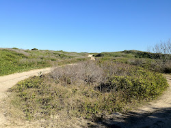 Station Creek Beach'in fotoğrafı vahşi alan