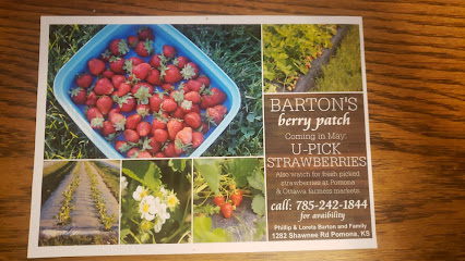 Barton's Berry Patch