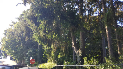 Park «Matthiessen Park», reviews and photos, 1 Bridge St, Irvington, NY 10533, USA