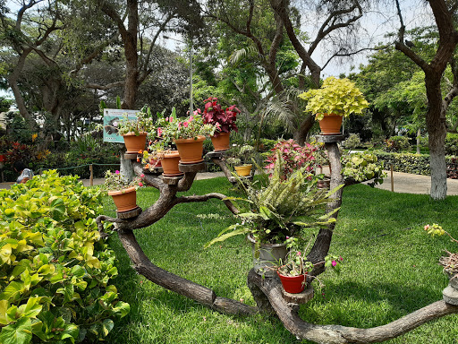 Jardines botanicos en Trujillo
