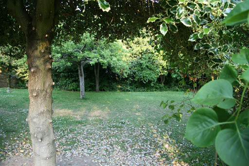 Park «Kirke Park», reviews and photos, 7028 9th Ave NW, Seattle, WA 98117, USA