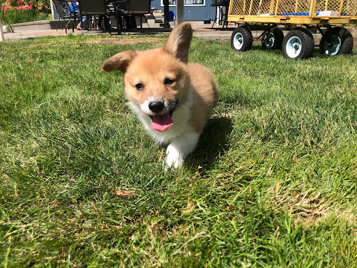 13830 SE Stark St, Portland, OR 97233, USA