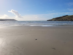 Moloney's Beach'in fotoğrafı ve yerleşim