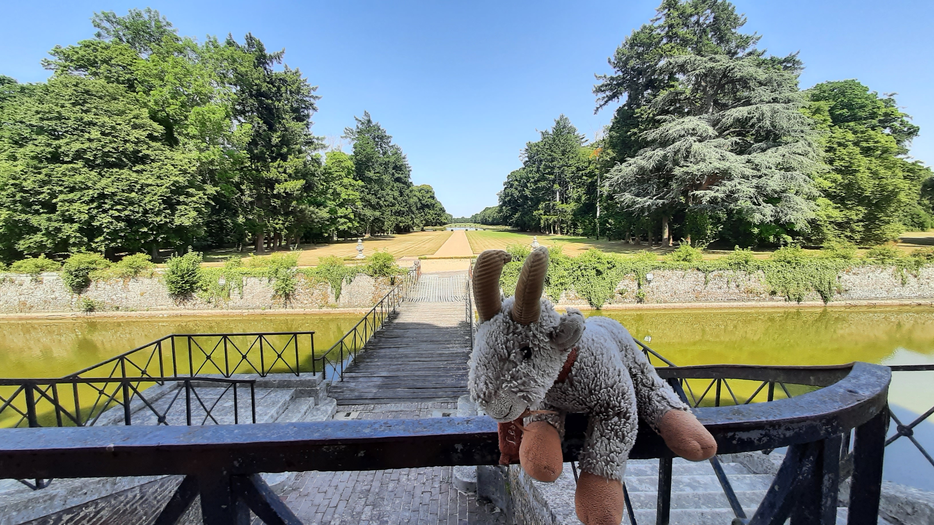 Photo n° 16 de l'avis de Armando.a fait le 18/07/2022 à 07:06