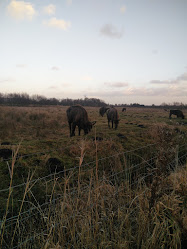 Randers Beredskabsmuseum