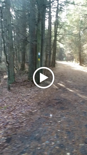 Community Park «Wells Mills County Park», reviews and photos, 905 Wells Mills Rd, Waretown, NJ 08758, USA