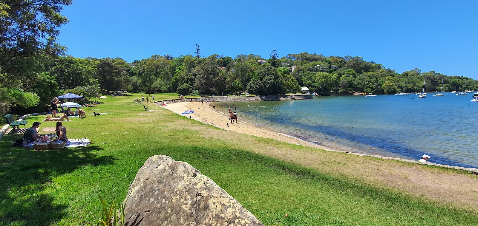 Sirius Cove Beach的照片 带有碧绿色纯水表面
