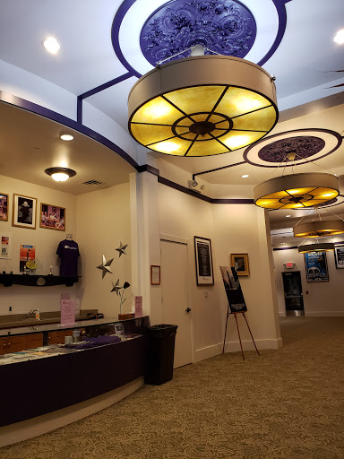 Performing Arts Theater «Purple Rose Theatre Company», reviews and photos, 137 Park St, Chelsea, MI 48118, USA