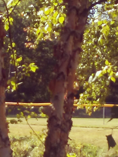 Park «Cass Park», reviews and photos, Cass Avenue, Woonsocket, RI 02895, USA