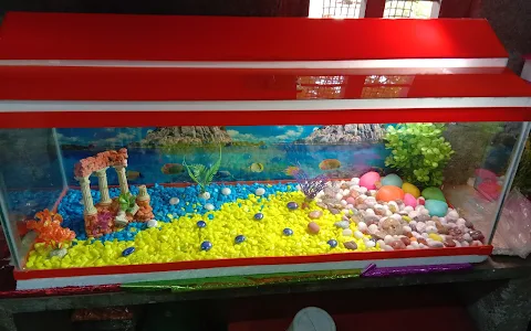 Kalyan Aquariums image