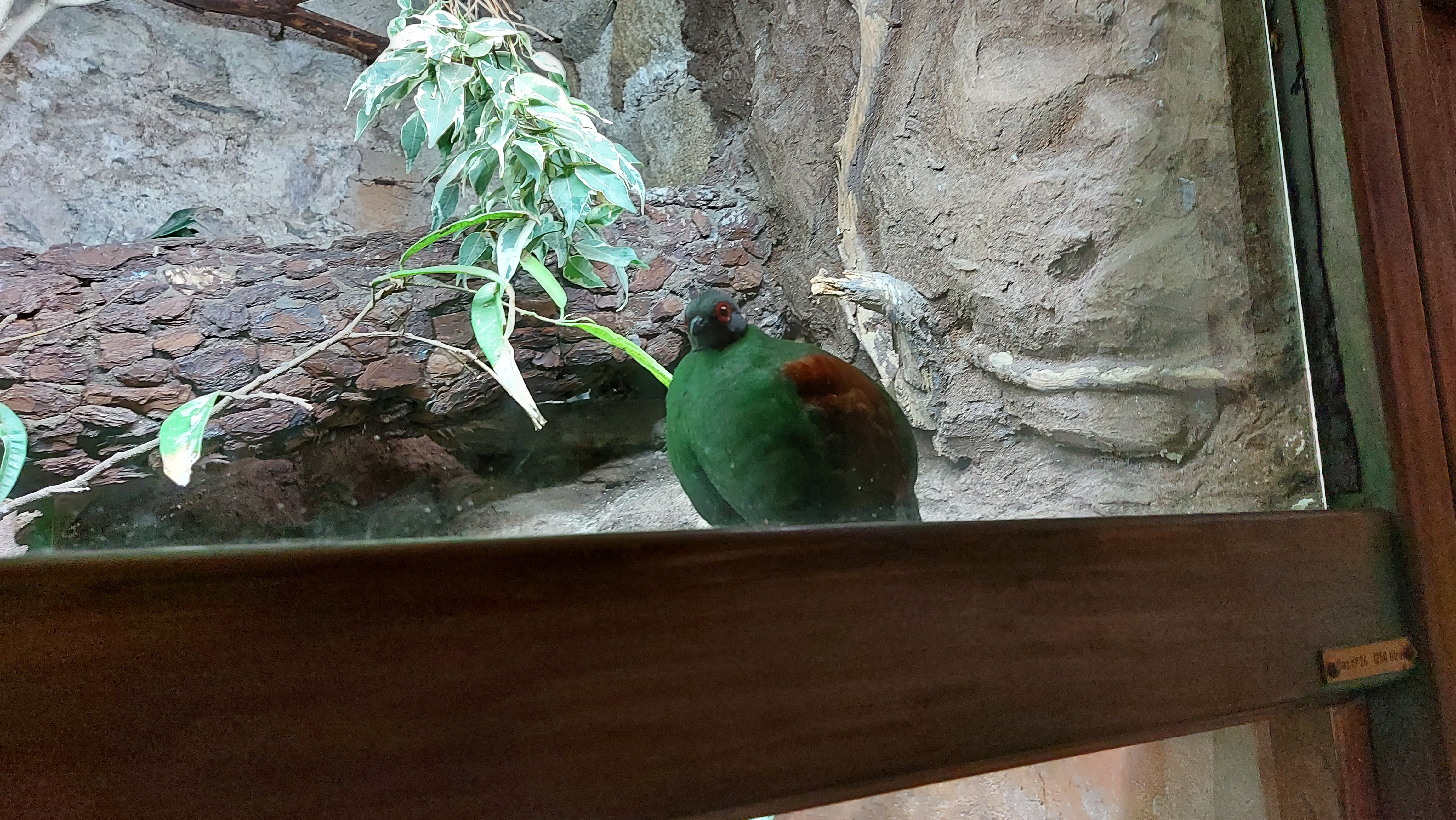Photo n° 18 de l'avis de Otto.e fait le 10/08/2020 à 22:42